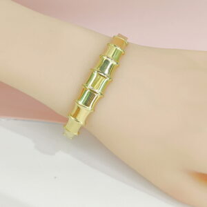 Stainless Steel Bangles Bracelets Crystals/Zirconia Slub Good Quality No Change Color For Women Girls CS24110023