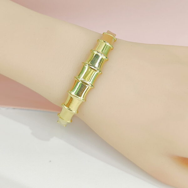 Stainless Steel Bangles Bracelets Crystals/Zirconia Slub Good Quality No Change Color For Women Girls CS24110023