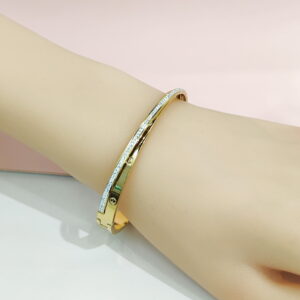 Stainless Steel Bangles Bracelets Geometric  Luxurious Good Quality No Change Color For Women Girls CS241216007