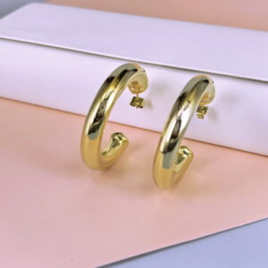 Stainless Steel Cubic Earrings  for Women and Girls C Shape Good Quality No Change Color BS250301079