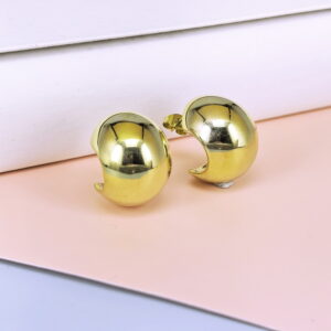 Stainless Steel Cubic Earrings  for Women and Girls Chili Good Quality No Change Color BS250301089