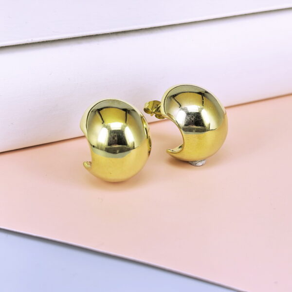 Stainless Steel Cubic Earrings  for Women and Girls Chili Good Quality No Change Color BS250301089