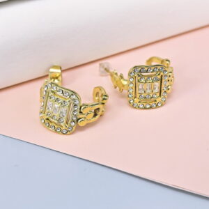Stainless Steel Cubic Earrings  for Women and Girls Hollow Out Good Quality No Change Color BS250301136