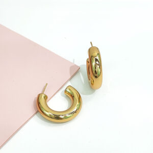 Stainless Steel Earrings Classic C-Shape Good Quality No Change Color For Women Girls BS24110038