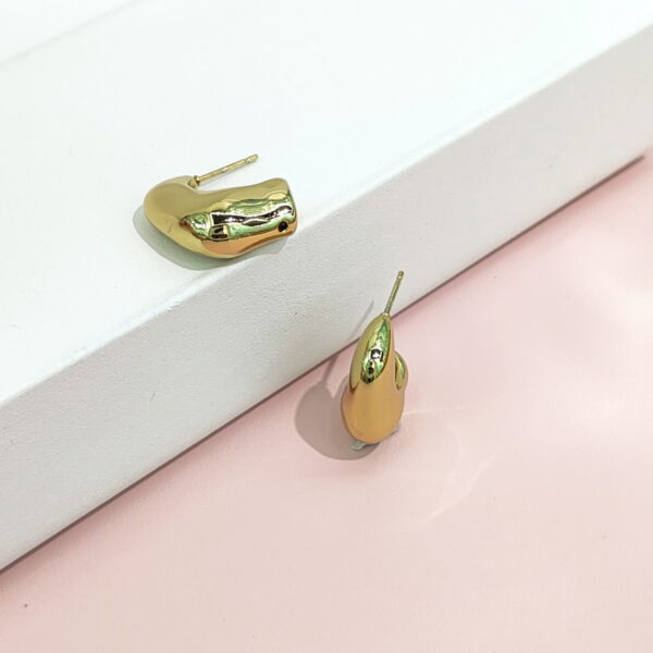 Stainless Steel Earrings Geometric C-Shaped Good Quality No Change Color For Women Girls BS24110102