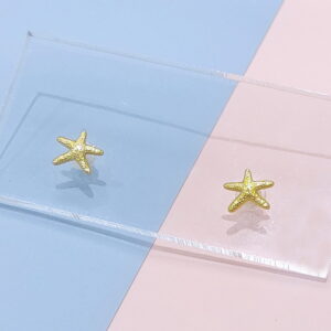 Stainless Steel Earrings Cubic Pentagram Sea Star Good Quality No Change Color For Women Girls  BS250109011