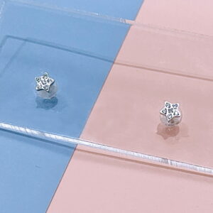 Stainless Steel Earrings Cubic Pentagram Star Good Quality No Change Color For Women Girls  BS250109037