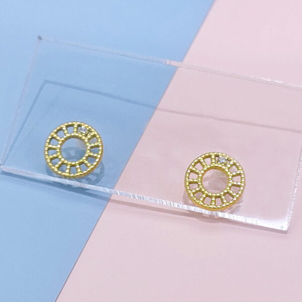 Stainless Steel Earrings Cubic Round Hollowed Out Good Quality No Change Color For Women Girls  BS250109049