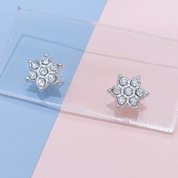 Stainless Steel Earrings Cubic Flowers Good Quality No Change Color For Women Girls  BS250109053