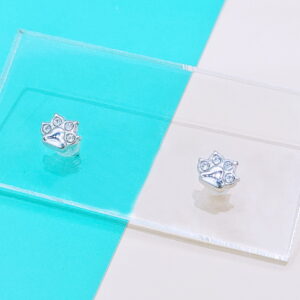 Stainless Steel Earrings Cubic Footprints Good Quality No Change Color For Women Girls  BS250109071