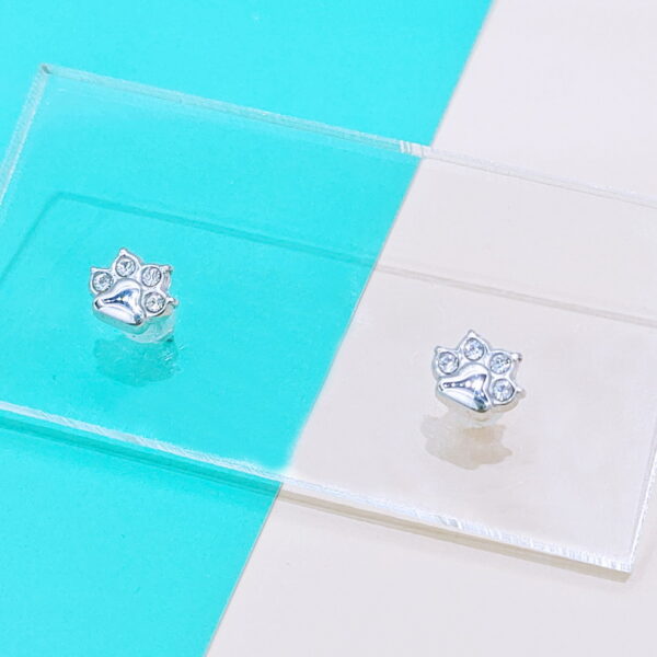 Stainless Steel Earrings Cubic Footprints Good Quality No Change Color For Women Girls  BS250109071