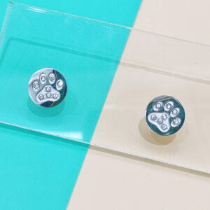 Stainless Steel Earrings Cubic Footprints Good Quality No Change Color For Women Girls  BS250109074