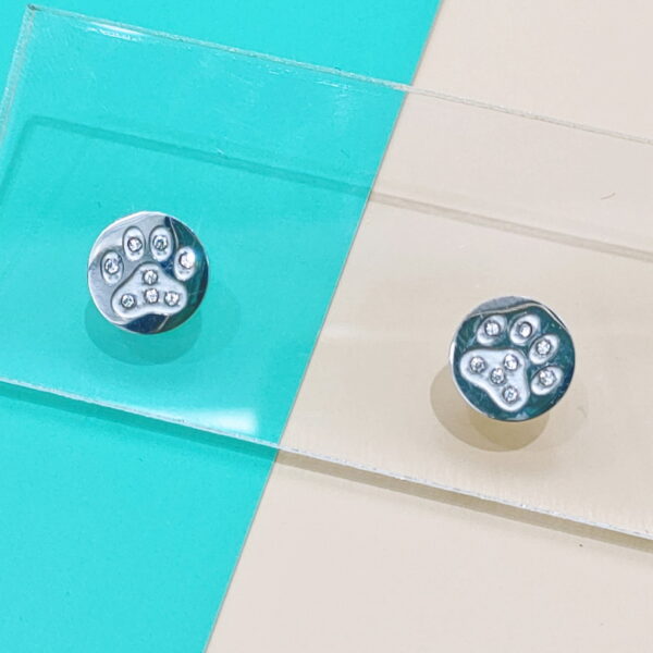 Stainless Steel Earrings Cubic Footprints Good Quality No Change Color For Women Girls  BS250109074