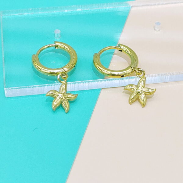 Stainless Steel Earrings Cubic Sea Fish Star Good Quality No Change Color For Women Girls  BS250109080