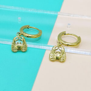 Stainless Steel Earrings Cubic Crabs Good Quality No Change Color For Women Girls  BS250109082