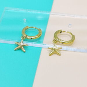 Stainless Steel Earrings Cubic Sea Fish Star Good Quality No Change Color For Women Girls  BS250109083