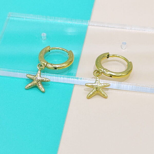 Stainless Steel Earrings Cubic Sea Fish Star Good Quality No Change Color For Women Girls  BS250109083