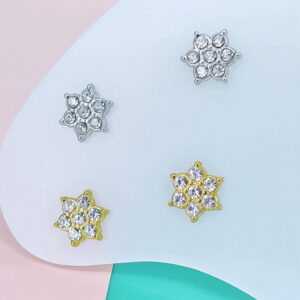 Stainless Steel Earrings Cubic Flowers Good Quality No Change Color For Women Girls  BS250109086