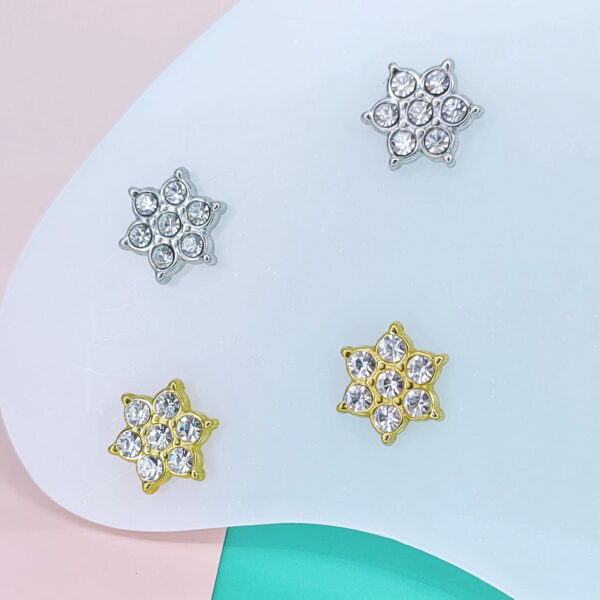 Stainless Steel Earrings Cubic Flowers Good Quality No Change Color For Women Girls  BS250109086