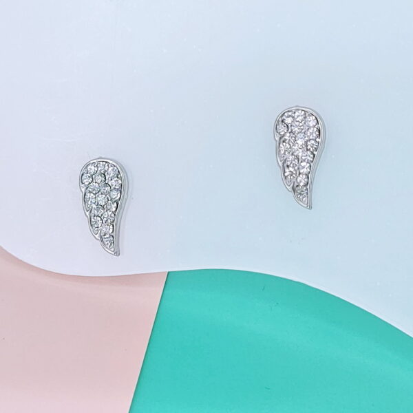 Stainless Steel Earrings Cubic Feather Good Quality No Change Color For Women Girls  BS250109111