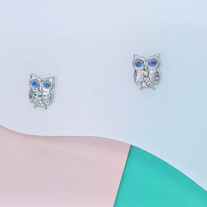 Stainless Steel Earrings Cubic Owls Good Quality No Change Color For Women Girls  BS250109120