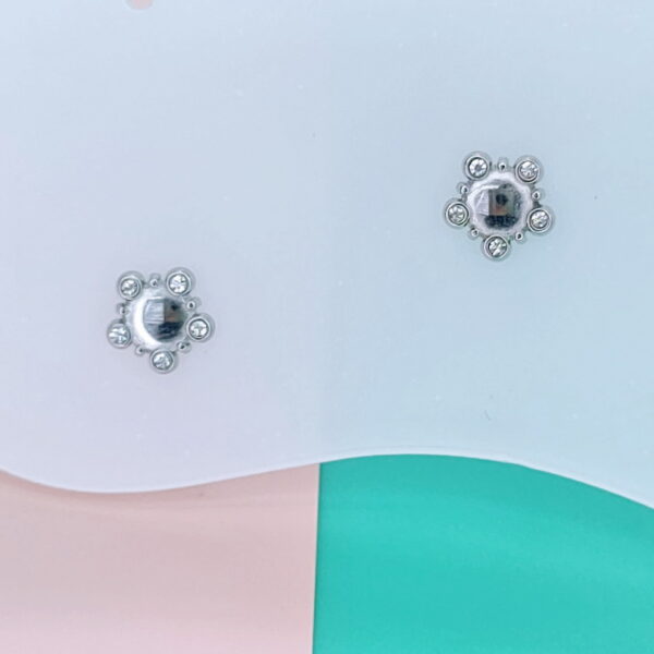 Stainless Steel Earrings Cubic Round Good Quality No Change Color For Women Girls  BS250109129