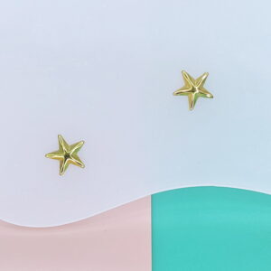 Stainless Steel Earrings Cubic Pentagram Good Quality No Change Color For Women Girls  BS250109134