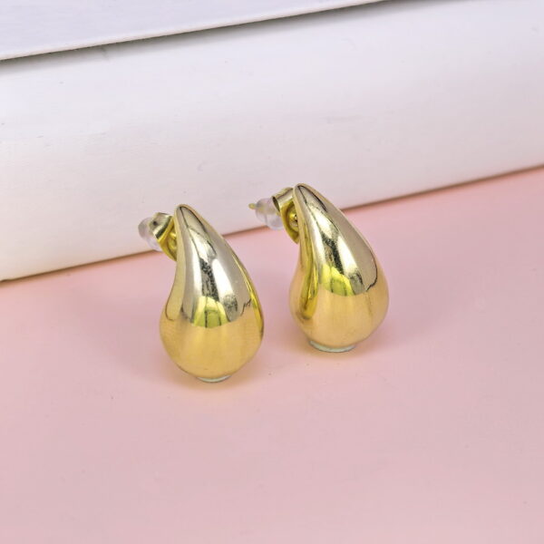 Stainless Steel Earrings  for Women and Girls C Shape Smooth Good Quality No Change Color BS2503270012