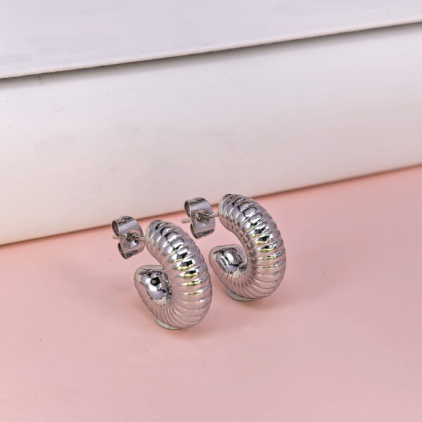 Stainless Steel Earrings  for Women and Girls C Shape Good Quality No Change Color BS2503270013