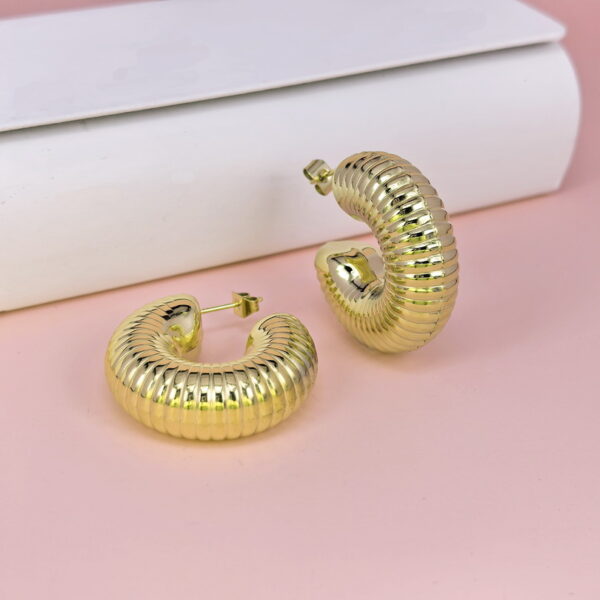 Stainless Steel Earrings  for Women and Girls C Shape Good Quality No Change Color BS2503270016