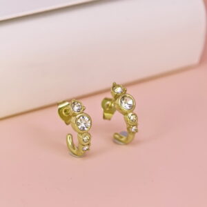 Stainless Steel Earrings  for Women and Girls C Shape Good Quality No Change Color BS2503270022