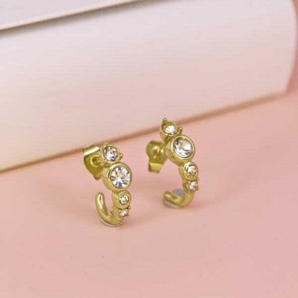 Stainless Steel Earrings  for Women and Girls C Shape Good Quality No Change Color BS2503270022