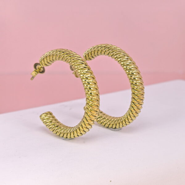 Stainless Steel Earrings  for Women and Girls C Shape Good Quality No Change Color BS2503270024
