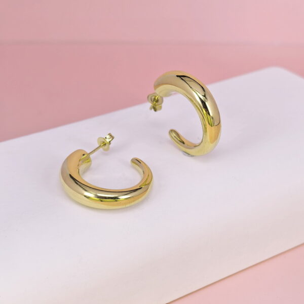 Stainless Steel Earrings  for Women and Girls C Shape Good Quality No Change Color BS2503270025