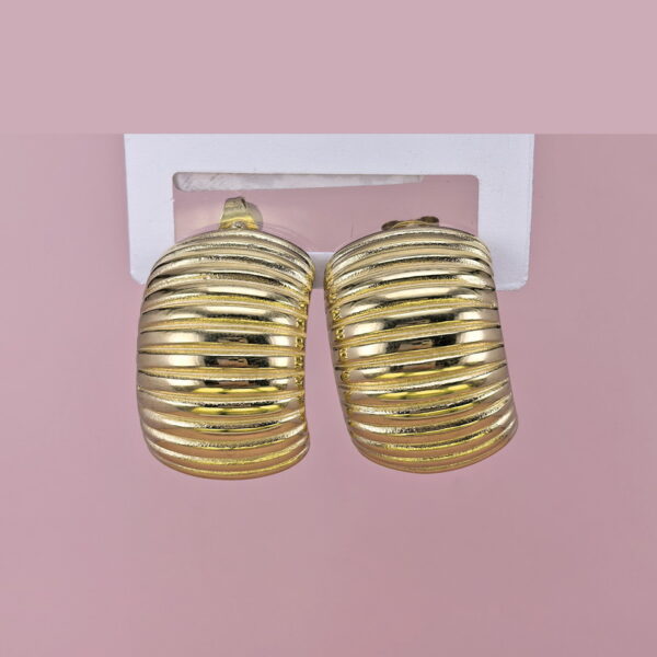 Stainless Steel Earrings  for Women and Girls C Shape Good Quality No Change Color BS2503270045