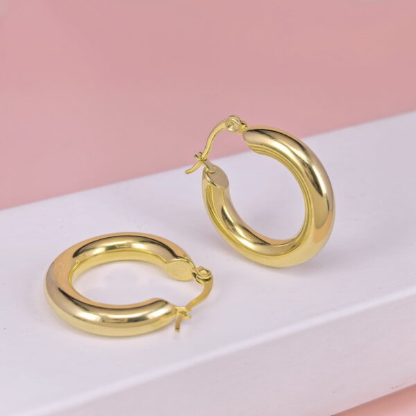 Stainless Steel Earrings  for Women and Girls C Shape Good Quality No Change Color BS2503270076
