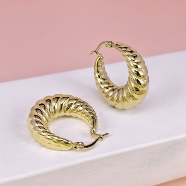 Stainless Steel Earrings  for Women and Girls C Shape Good Quality No Change Color BS2503270084
