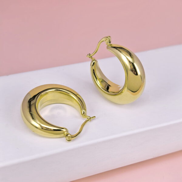 Stainless Steel Earrings  for Women and Girls C Shape Good Quality No Change Color BS2503270086