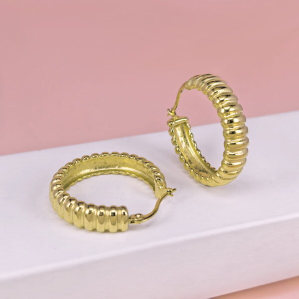 Stainless Steel Earrings  for Women and Girls C Shape Good Quality No Change Color BS2503270087