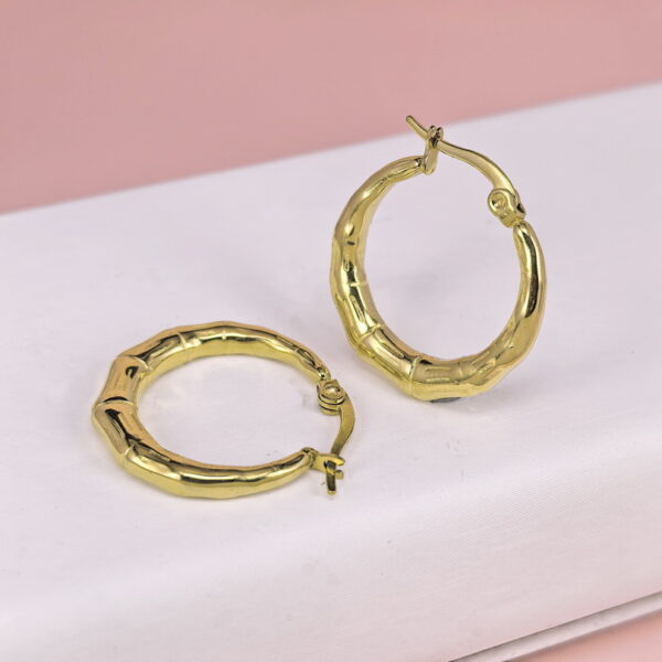 Stainless Steel Earrings  for Women and Girls C Shape Good Quality No Change Color BS2503270098