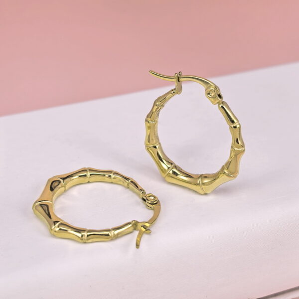 Stainless Steel Earrings  for Women and Girls C Shape Good Quality No Change Color BS2503270099