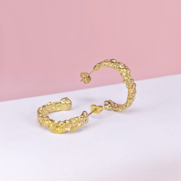 Stainless Steel Earrings  for Women and Girls C Shape Good Quality No Change Color BS2503270174