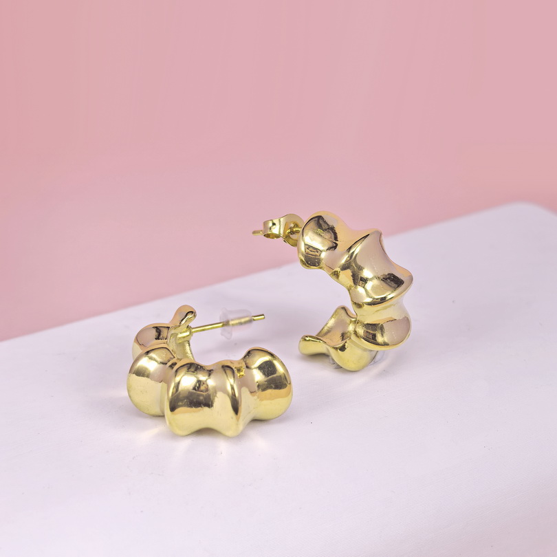 Stainless Steel Earrings  for Women and Girls C Shape Good Quality No Change Color BS2503270187