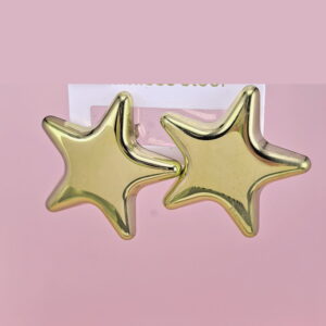 Stainless Steel Earrings  for Women and Girls Pentagram Good Quality No Change Color BS2503270286