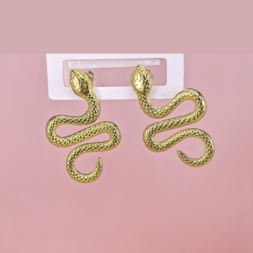 Stainless Steel Earrings  for Women and Girls Geometric Good Quality No Change Color BS2503270392