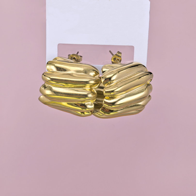 Stainless Steel Earrings  for Women and Girls Geometric Good Quality No Change Color BS2503270456