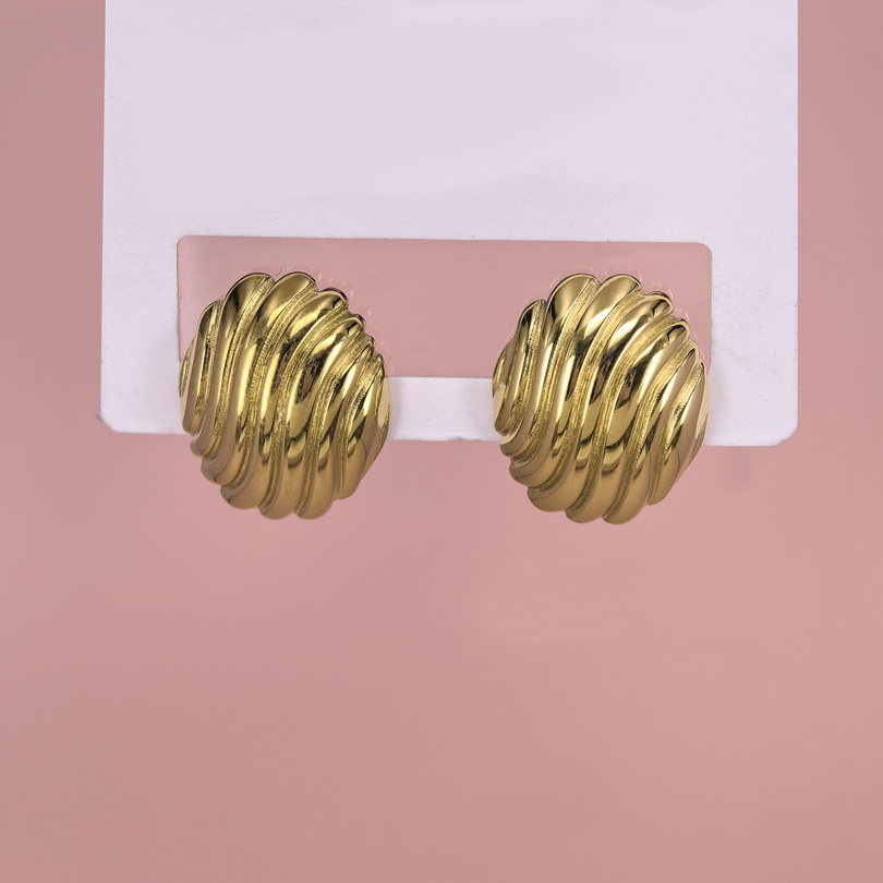 Stainless Steel Earrings  for Women and Girls Geometric Good Quality No Change Color BS2503270468