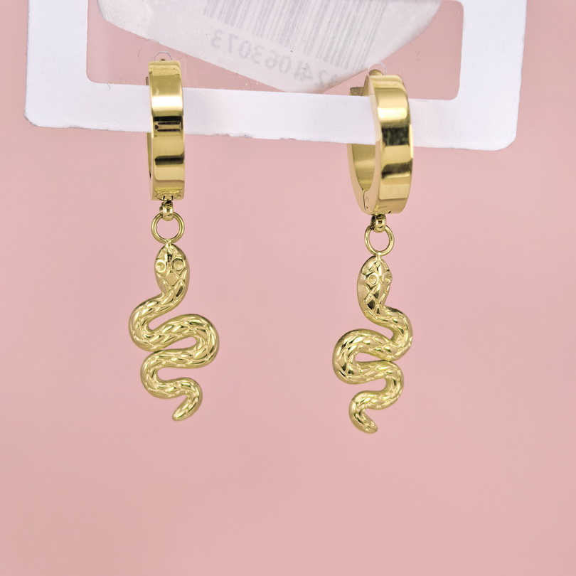 Stainless Steel Earrings  for Women and Girls Geometric Good Quality No Change Color BS2503270520