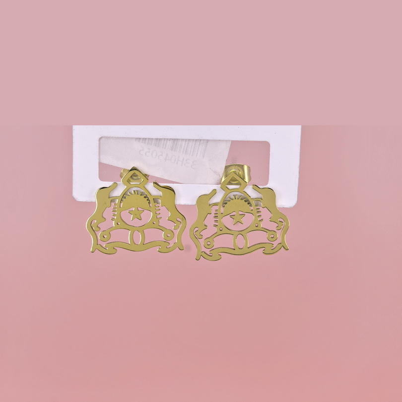 Stainless Steel Earrings  for Women and Girls Hollow-Out Good Quality No Change Color BS2503270546