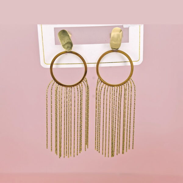 Stainless Steel Earrings  for Women and Girls Chains Good Quality No Change Color BS2503270681